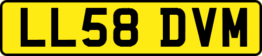 LL58DVM