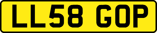 LL58GOP