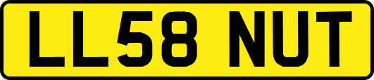 LL58NUT