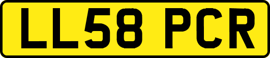 LL58PCR