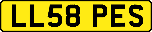 LL58PES