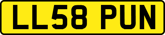LL58PUN