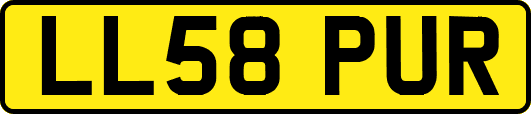 LL58PUR