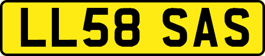 LL58SAS