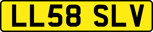 LL58SLV