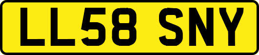 LL58SNY