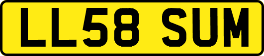 LL58SUM