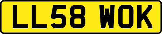 LL58WOK