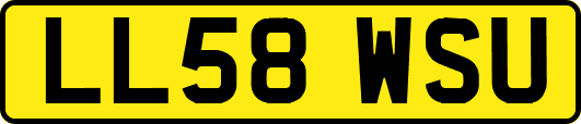LL58WSU