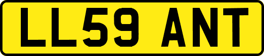 LL59ANT