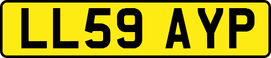 LL59AYP