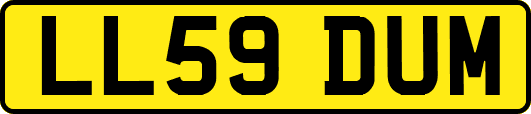 LL59DUM