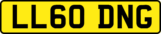 LL60DNG