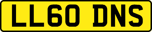 LL60DNS