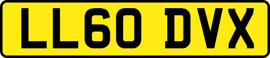 LL60DVX