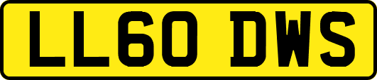 LL60DWS