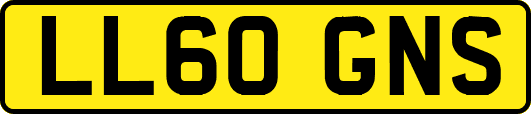 LL60GNS