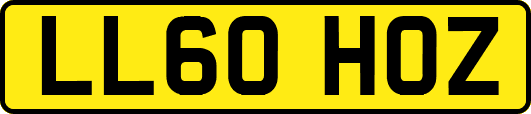 LL60HOZ