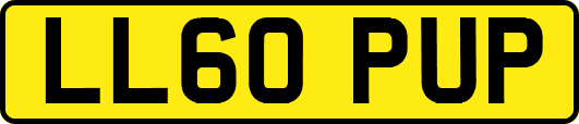 LL60PUP