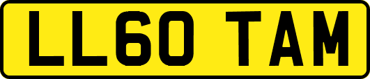 LL60TAM