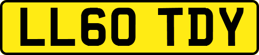 LL60TDY