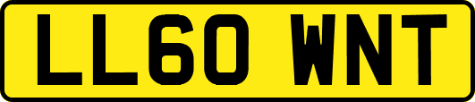 LL60WNT