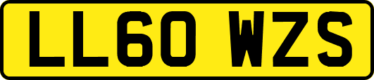 LL60WZS