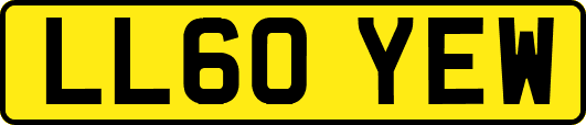LL60YEW