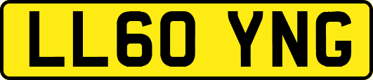 LL60YNG