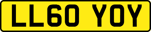 LL60YOY