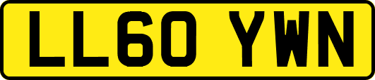 LL60YWN