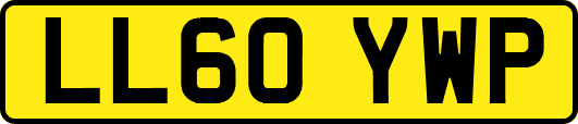 LL60YWP