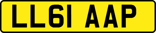 LL61AAP