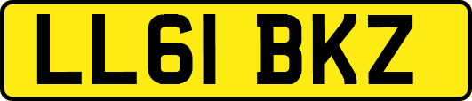 LL61BKZ