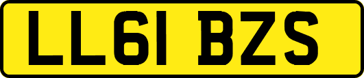 LL61BZS