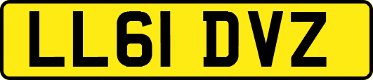LL61DVZ