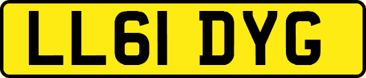 LL61DYG