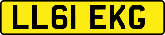 LL61EKG