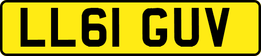 LL61GUV