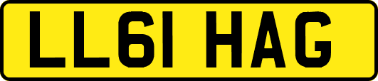 LL61HAG