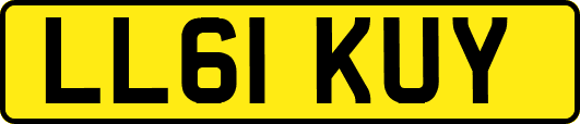 LL61KUY