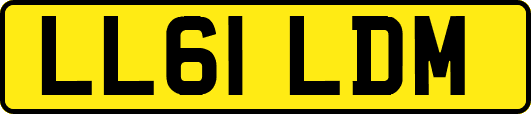 LL61LDM