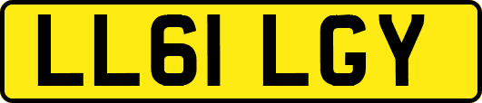LL61LGY