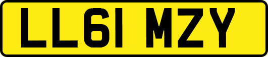 LL61MZY