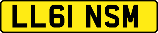 LL61NSM