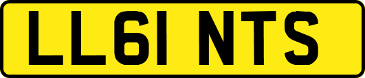 LL61NTS