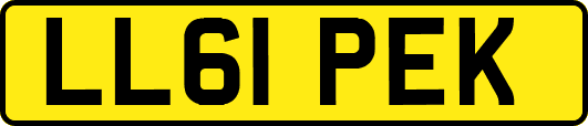LL61PEK