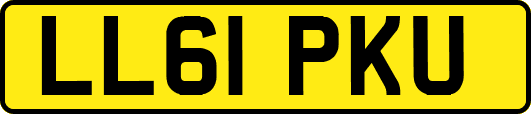 LL61PKU