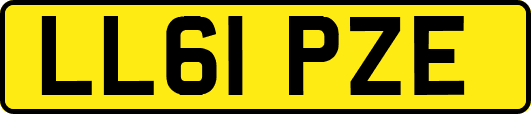 LL61PZE
