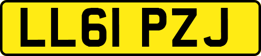 LL61PZJ